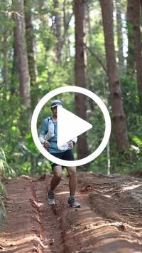 BIB:  <button type="button" onclick="openModal(26569758)" class="btn btn-primary btn-sm float-right" data-toggle="modal" data-target=".modal-high-quality">
                <i class="fa fa-download"></i> Download
                </button>